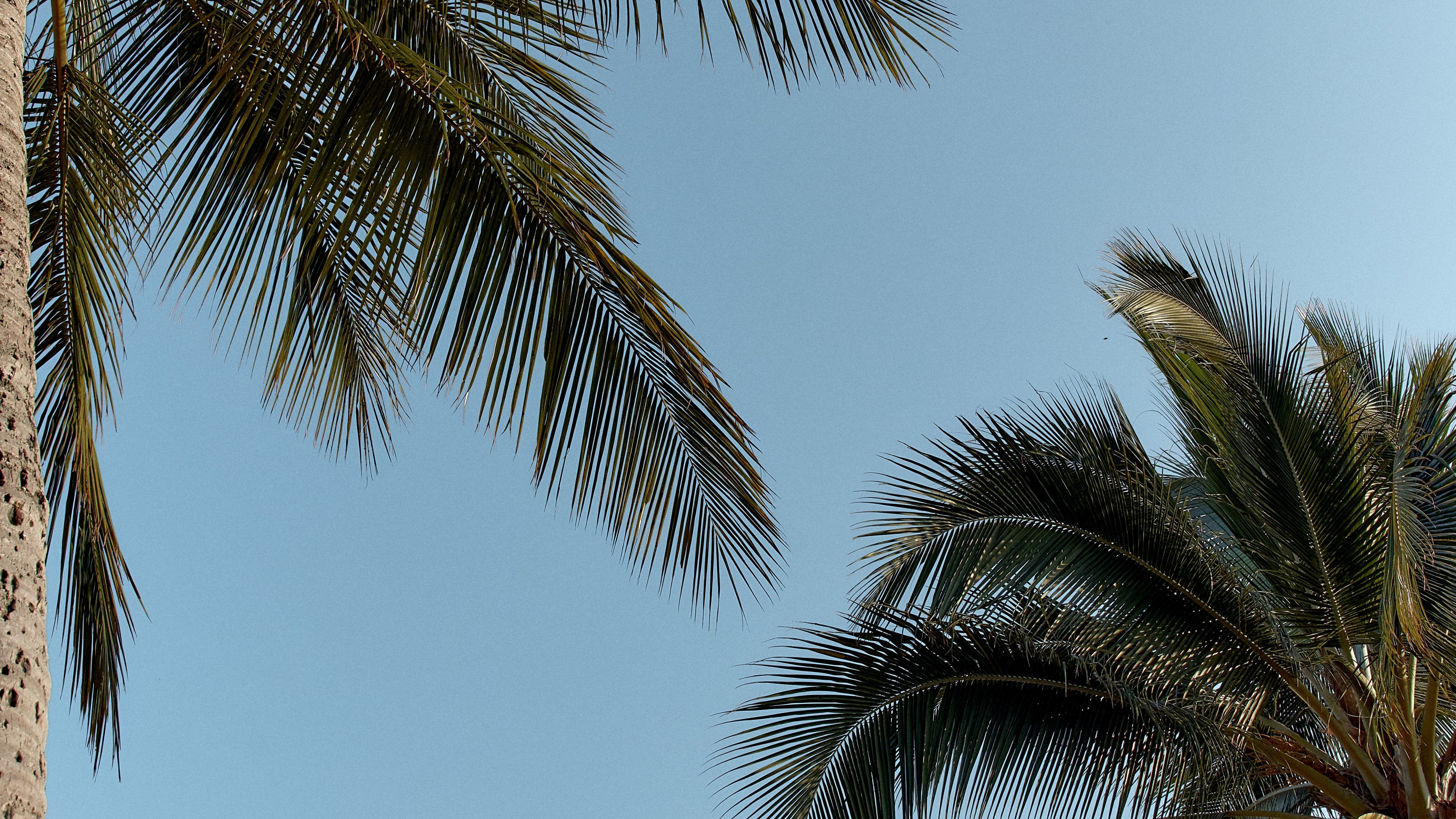 Lookbook Paradis 3