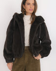 BLOUSON - BASTIAN - CHOCOLAT