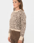 PULL - BRENDON - BEIGE/MARRON