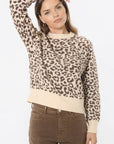 PULL - BRENDON - BEIGE/MARRON