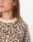 PULL - BRENDON - BEIGE/MARRON PULL NEW KOOKAI Mode Kookai