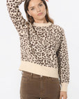 PULL - BRENDON - BEIGE/MARRON PULL NEW KOOKAI Mode Kookai